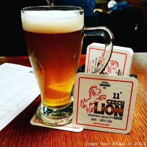 Czech Lion 11°