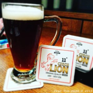 Czech Lion semi-dark 13
