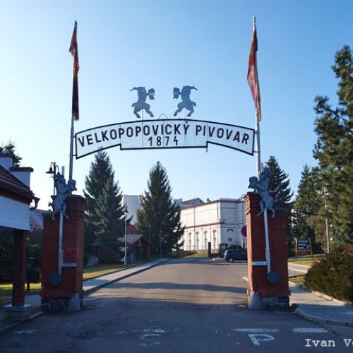Пивоварня Велке Поповице