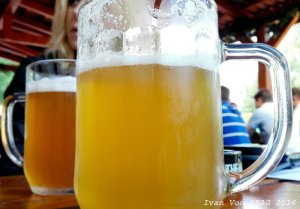 beer_news_2