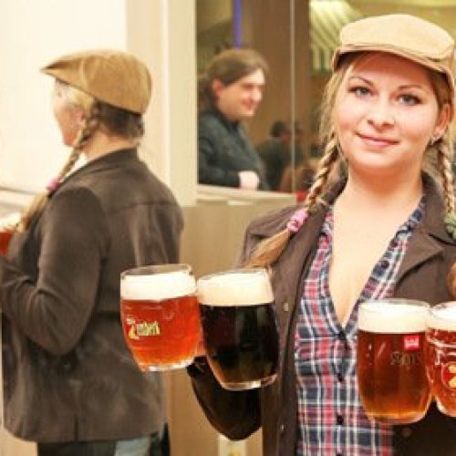 Beer Festival Budweis